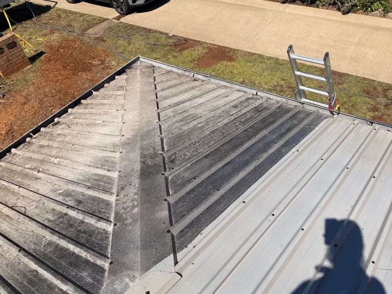 Roof Wash