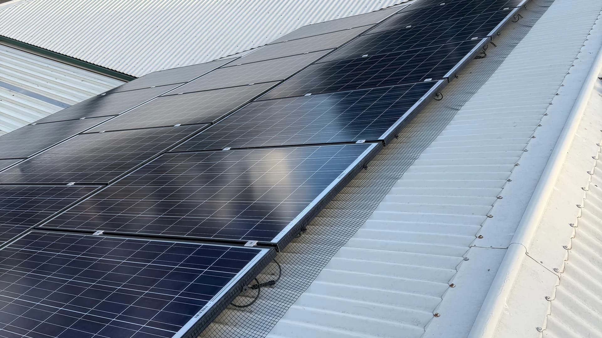 Solar pigeon proofing